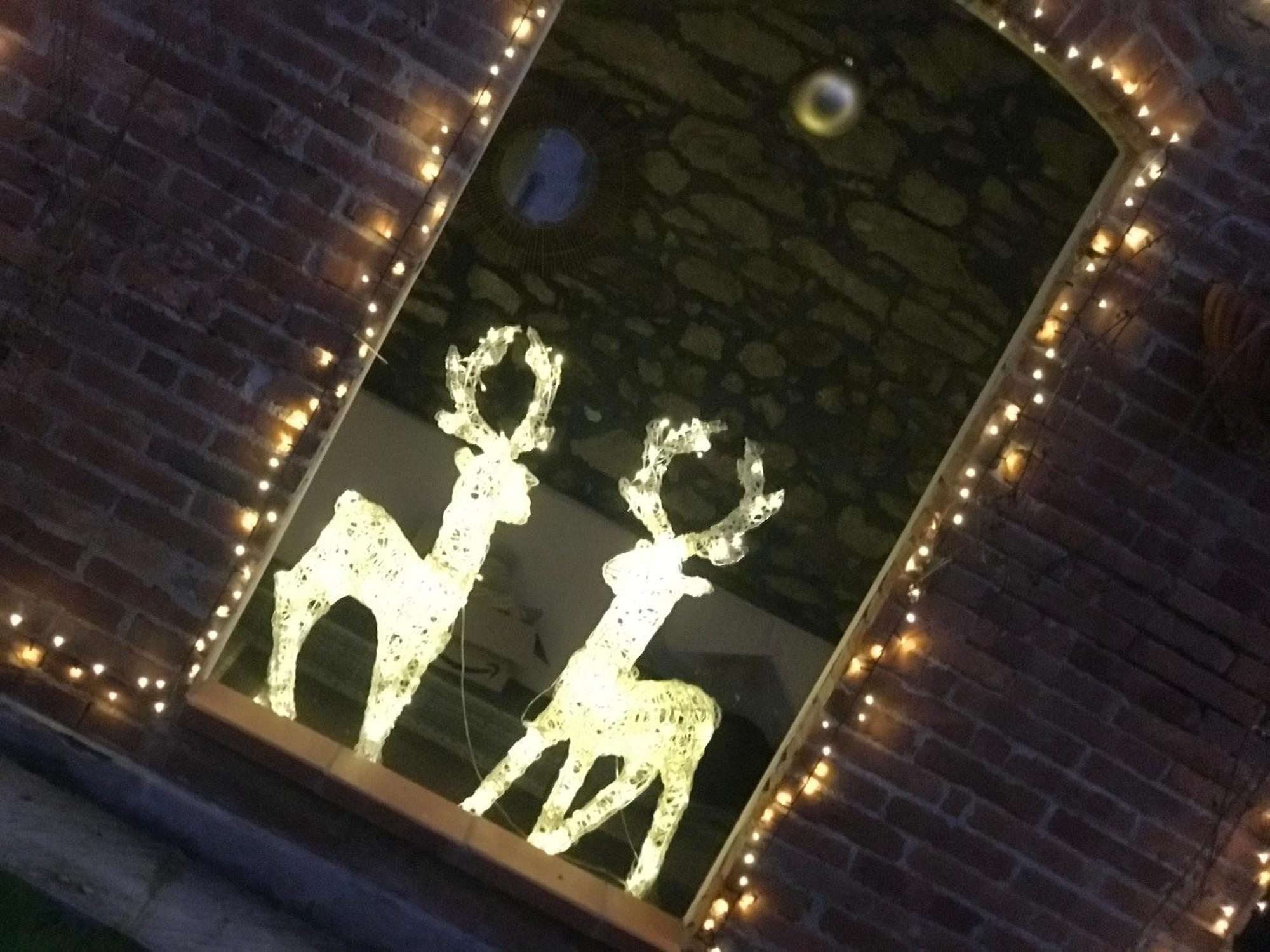 Del Papa Guest house Lucca