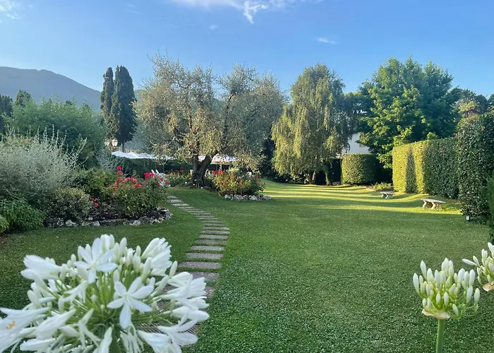 Villa Del Papa